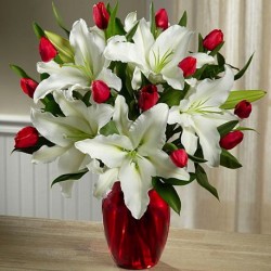 Tulipanes y Lirios