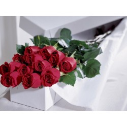 Caja de Rosas 1